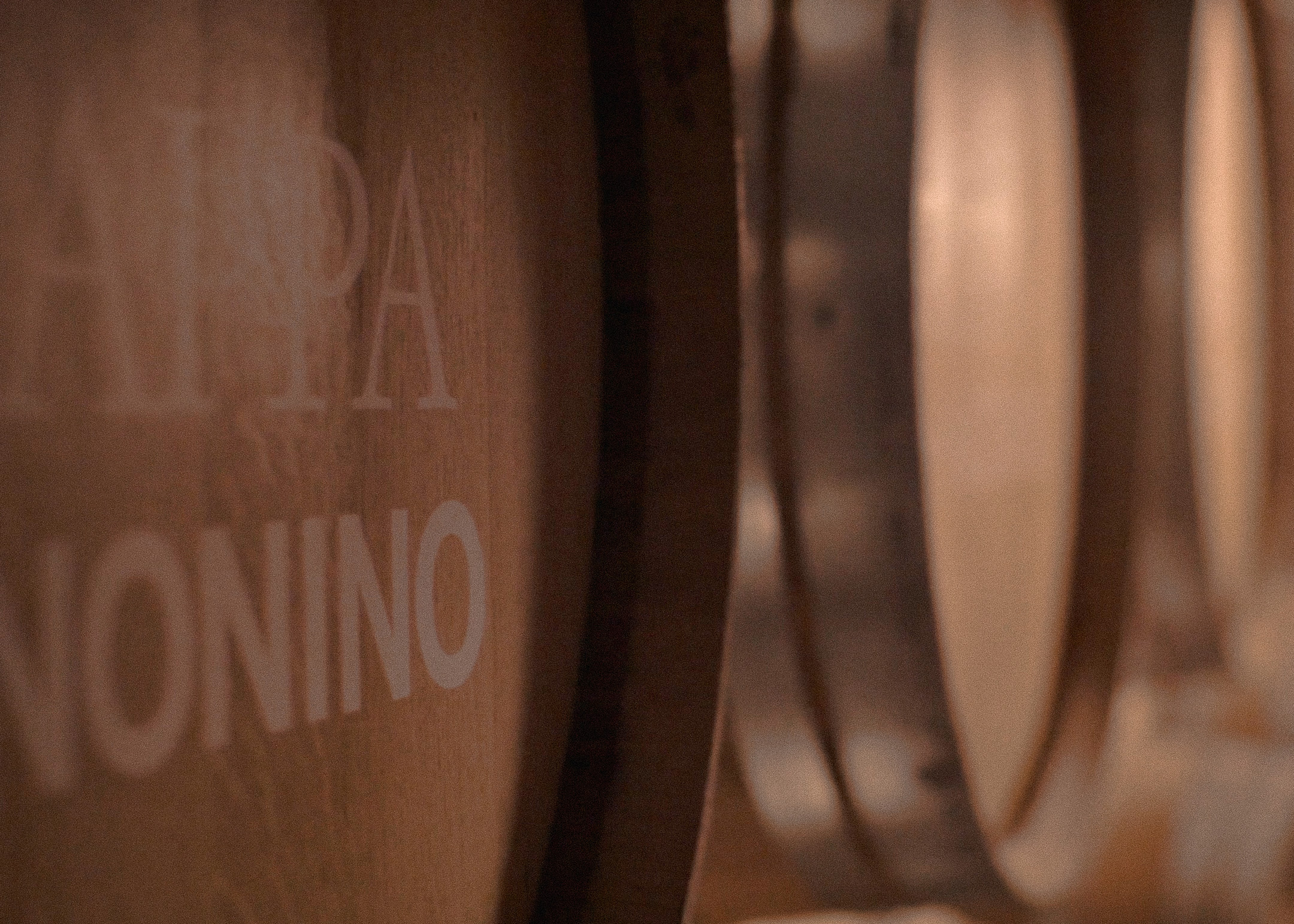 Battista-Gotti-Photography-NONINO35