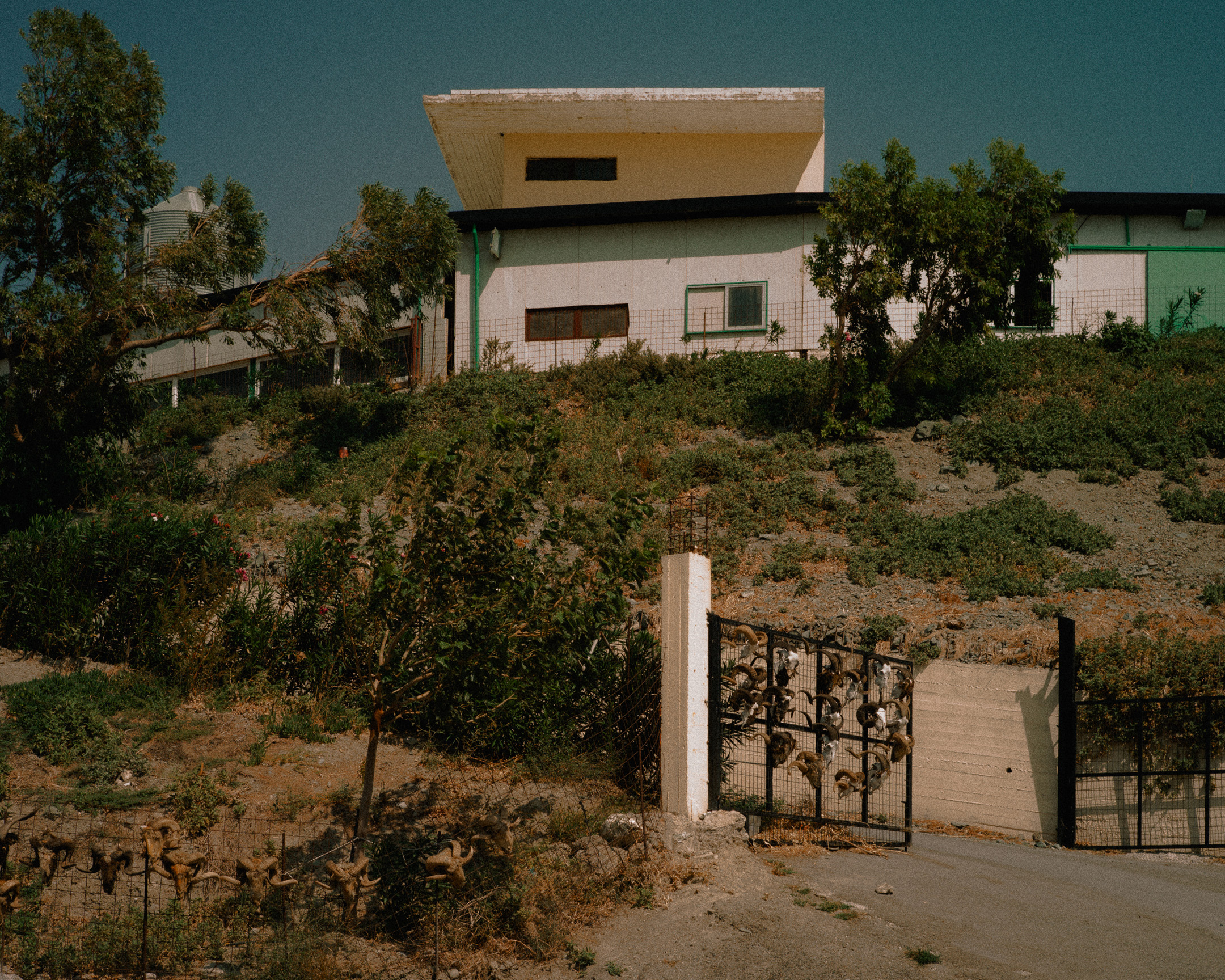 Battista-Gotti-Photography-NotesFromNearby11