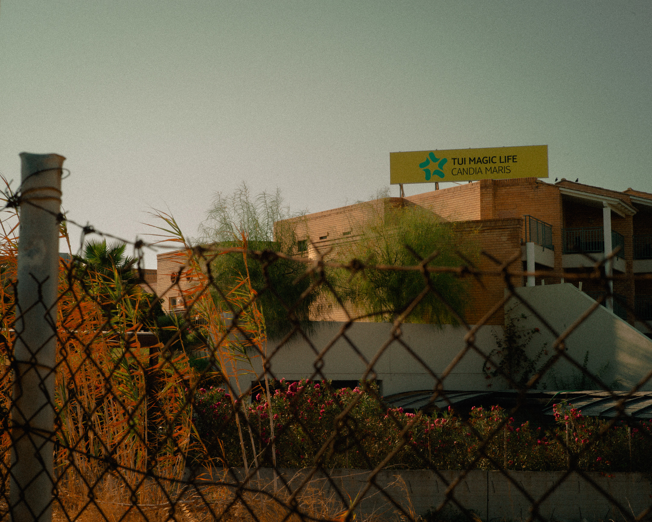 Battista-Gotti-Photography-NotesFromNearby17