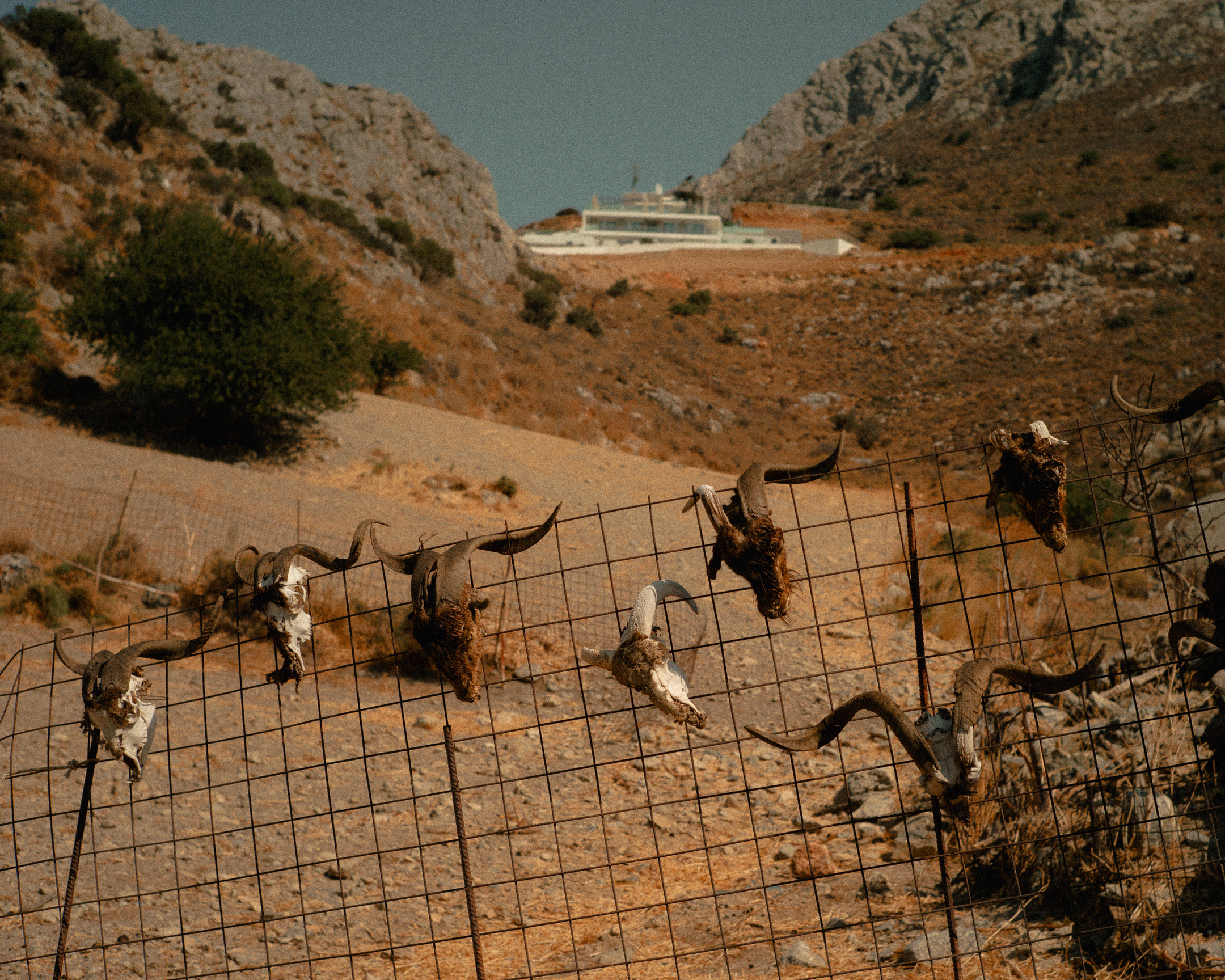 Battista-Gotti-Photography-NotesFromNearby35