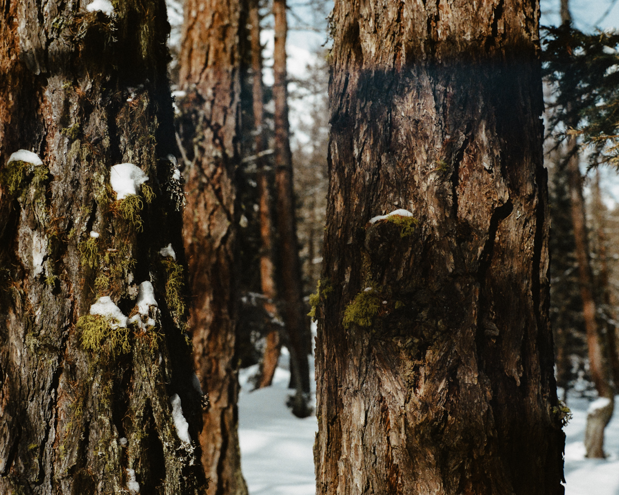 Nicola_Battista_Gotti-Photographer00018