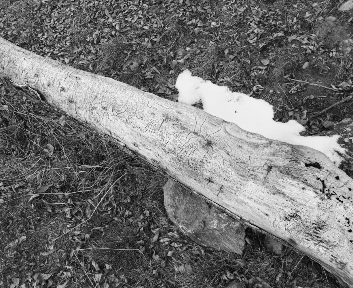 Where-someone-had-been-Nicola_Battista_Gotti-Photographer00004