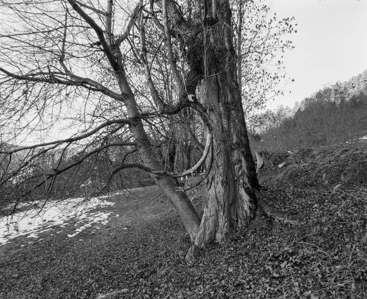 Where-someone-had-been-Nicola_Battista_Gotti-Photographer00007