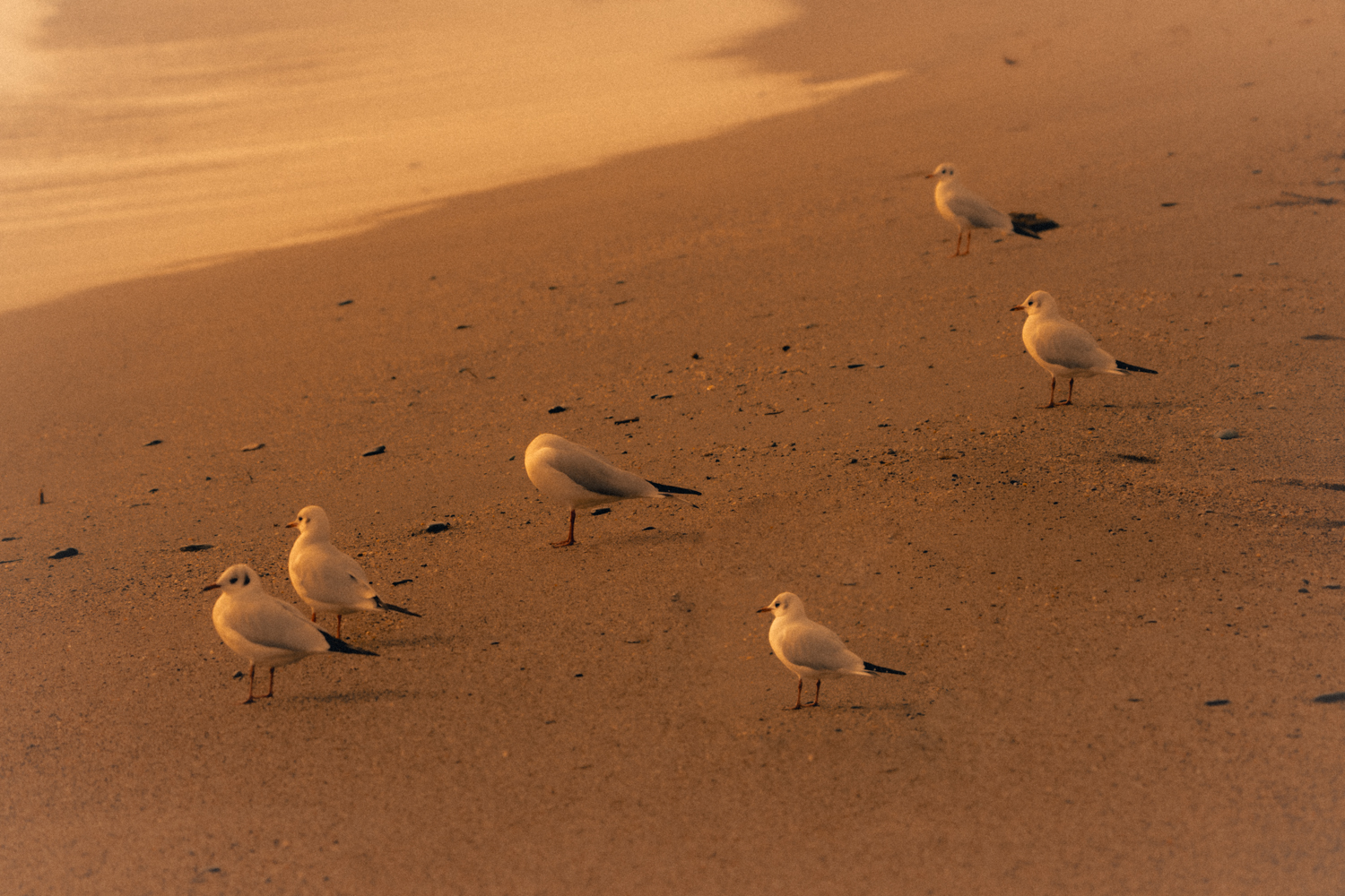 Nicola_Battista_Gotti_Photograoher_No-Right-Tide00002